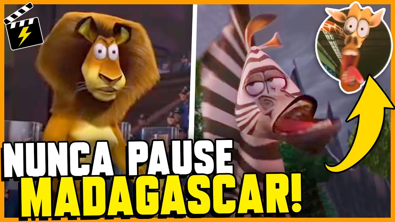 hipopotamo madagascar meme｜Pesquisa do TikTok