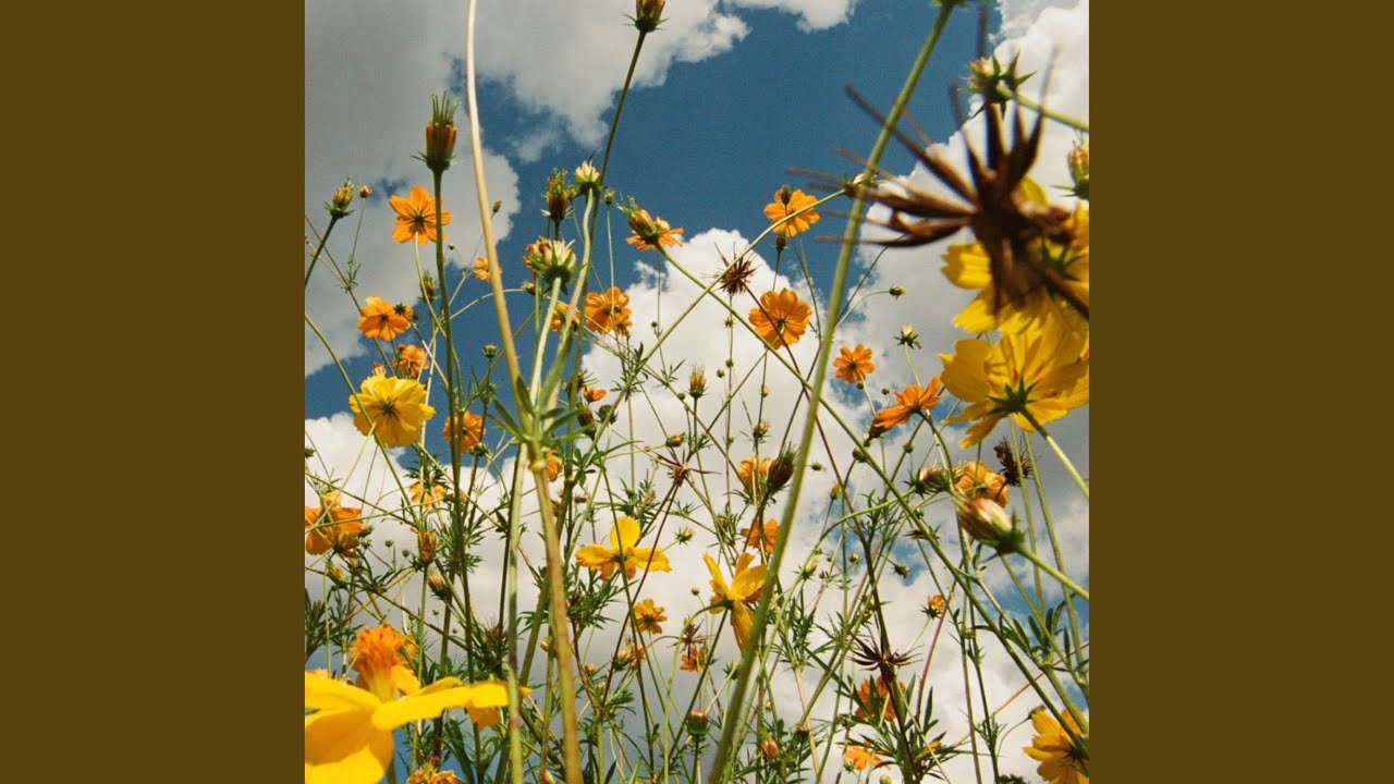 Tasha – You Are Spring! – out out