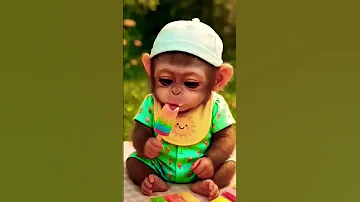 Akshita Ko Kuch Nhi Mila Short Funny Viralvideo Entertainment Shortsfeed 