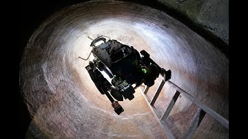 Towards Autonomous Inspection of Concrete Deterioration in Sewers with Legged Robots