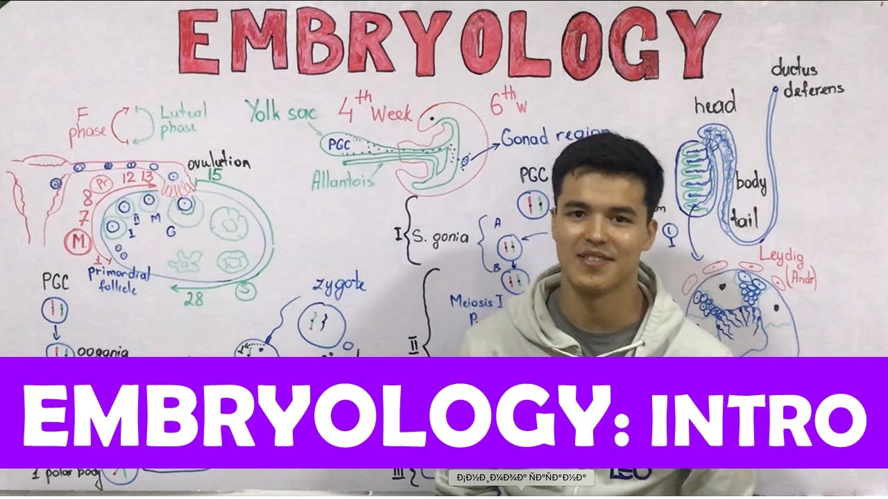 Embryology [ Intro: Overview ]