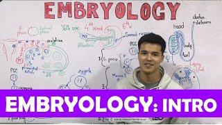 Embryology [ Intro: Overview ]