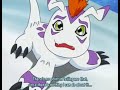 Shake the Gomamon!