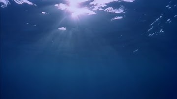 Ceramics Project 1 Video Projection