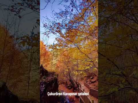 Kasım ayı görüntüsü