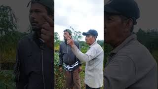 Download Lagu Perkara supa jerami dan jual singkong MP3