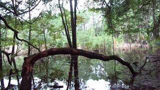 Swamp Talk: Sometimes the idea of the task you have to do is more difficult then the task itself! Wealth