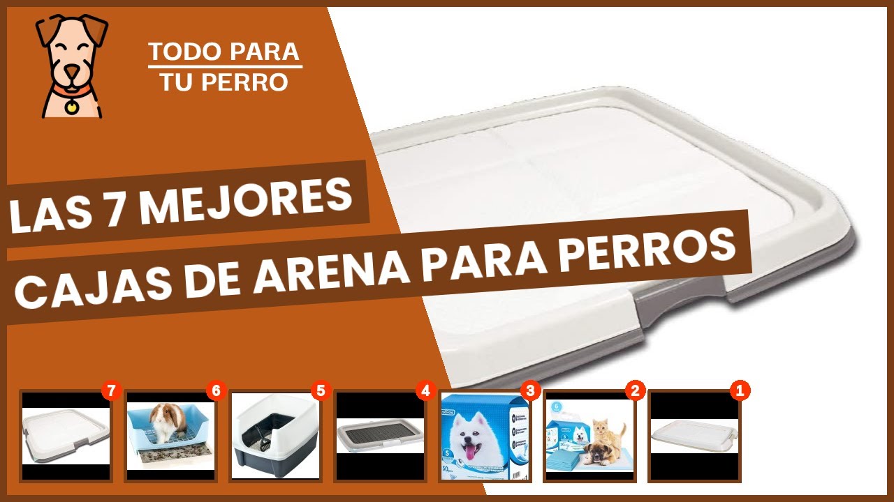 Las 7 mejores cajas de para perros YouTube