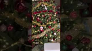 Y Exotic Bodybuilder In Micro Bikini Lingerie Chocolate Models