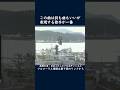 改めて聴くとええわぁ。八代亜紀の舟唄 #shorts #舟唄