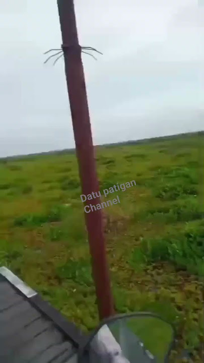 jembatan Ulin ...panjang kearah kampung dalam ,lokasi : kec Babirik hambuku.kab.HST Kalsel