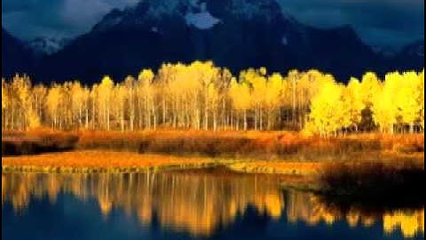 تلاوة لا توصف للشيخ أحمد العجمي سورة عبس  sheikh ahmed al ajmi surah abasa