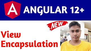 View Encapsulation in Angular 12 | View Encapsulation in Angular 12 Tutorial and Guides | Encapsulat