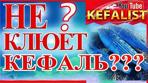 Рыбалка на кефаль! Почему не клюёт кефаль ??? Как ловить кефаль???