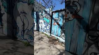 Walking Vlog #walking