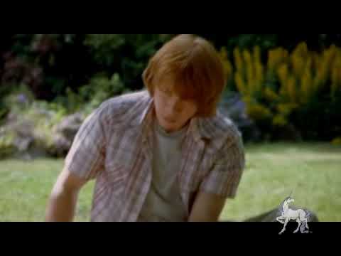 Ron/Hermione.*.So I Thought.*.