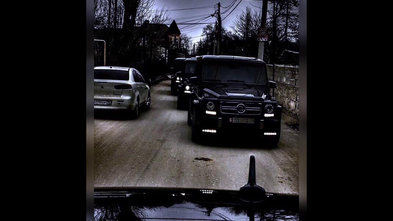 стая леша стелит andery