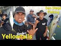 [Download 29+] Kayak Fishing La Jolla Kelp Beds