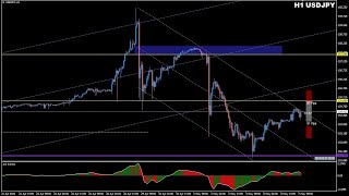 Forex con Café del 7 de Mayo del 2024