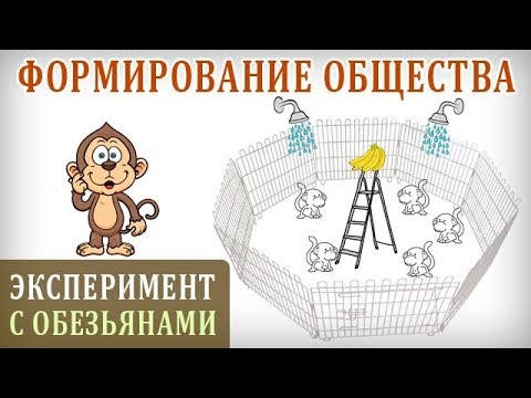 Видео: Как медиите формират общественото мнение