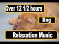 Over 12 1/2 hours of Soothing Music to Relax Your Puppy or Dog Beautiful