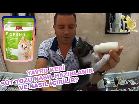 Video: Yorkie'nin Saç Parlak Nasıl Yapılır