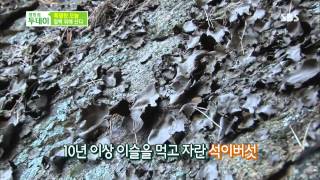 생방송 투데이 131114 #9(2)
