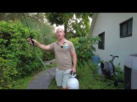 How to fertilize a food forest (the easy way).