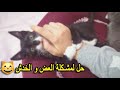 !  قطك يعضك 😾 و يخربشك 🐈/ إليك الحل النهائي  #قطط_للتبني