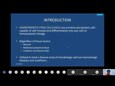 Course 5: hematopoietic stem cells, Tế bào gốc tạo máu/ máu cuốn rốn