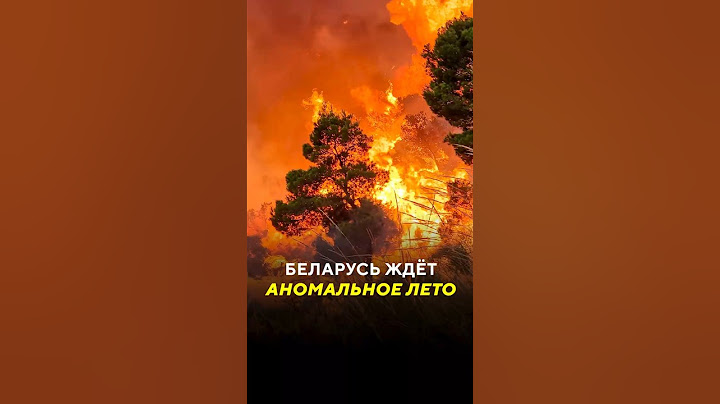 Беларусь ждёт аномальное лето / Новости #лето #жара #аномалия #погода #пожары #лесныепожары #леса