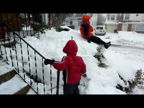 Calvin And Holden Play On and Under A Snow-Covered Fitzer Bush