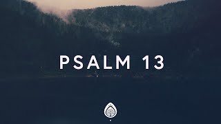 1 Hour |  Alisa Turner ~ Psalm 13 (Lyrics)