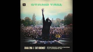 Chali 2na - Chali 2na x Cut Chemist x Stickybuds x Mista Savona - Stand Tall feat. Dynamite MC
