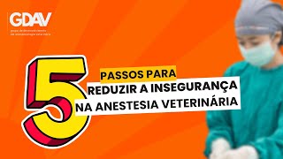5 passos para reduzir a insegurança na anestesia veterinária
