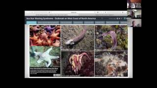 Webinar: Using Story Maps to share your story (even without maps!)