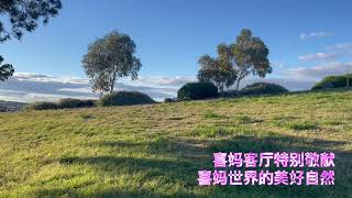 浅草茵茵，叶儿摇曳。#喜妈正道茶 #XimaRighteousTea 携手 #TDCCP 入驻店家建设 #NFSC #TDCCP #GETTR