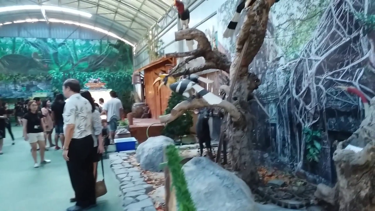 Monsters aquarium pattaya in thailand - YouTube