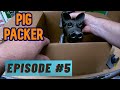 How to pack and ship ebay orders 5  pig packer