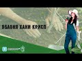 Яблоня Хани Крисп