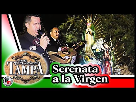 Serenata a la Virgen de Guadalupe con Mariachi Tampa - "Madrecita del alma querida"