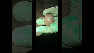 редкая находка, какарда милиции СССР #metaldetecting #находкисметаллоискателем