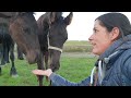 The first hugs from Mathilde and Marije. I pronounce the full names. Do we have new Friesian horses?