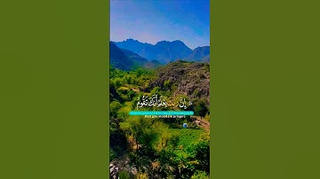تلاوة خاشعة قرأن كريم بصوت يريح قلبك #elmulquranعلم #قران_كريم #تلاوة #المصحف #trend #اكسبلور