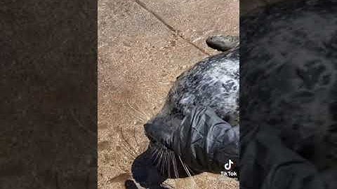 나도 한번 눌러보고 싶다