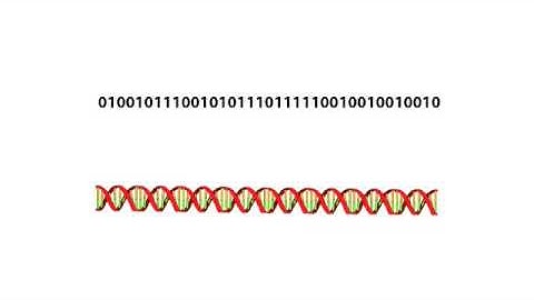 Introduction to Neural Networks for C#(Class 5/16, Part 1/5) - genetic algorithm