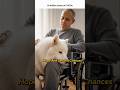 Wheelchair Man’s Life Changes After Meeting Loyal Dog
