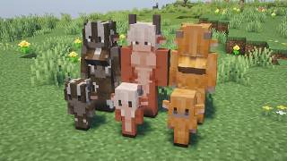 Minecraft | Human Player Mobs | 26.1.2 Resource Pack Showcase