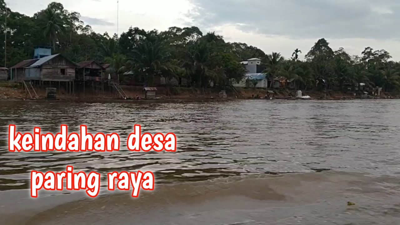 Kehidupan suku Dayak didesa  paring raya,pinggiran sungai seruyan