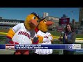 On the look out for the mud hens biggest fan